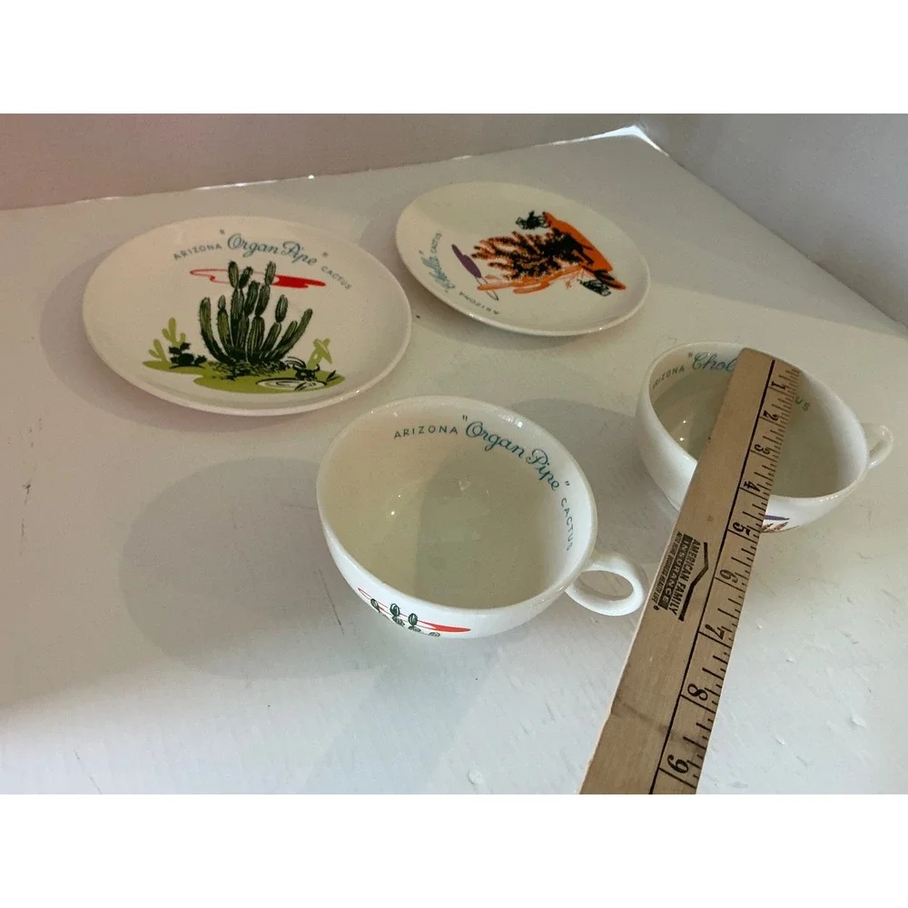 Other Brand Vintage Arizona Cactus Teacup Saucer Set Organ Pipe Cholla Desert 2p